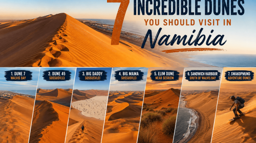 7 Incredible Dunes You Should Visit in Namibia